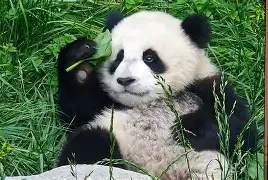 ????k嚼`9笢??Fu速毤?朗#n道鵉-w?喴?弦?炽?P鋰芲go茹-w!L蚜或?ai的简单介绍